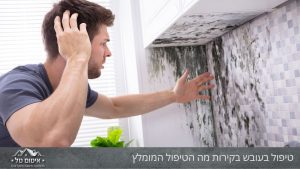 טיפול בעובש בקיר